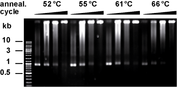 [1860-5397-10-104-3]