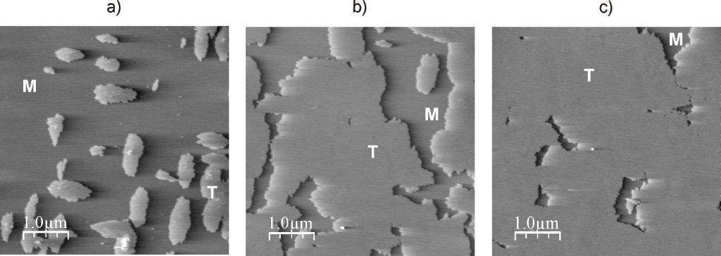 [1860-5397-10-140-6]