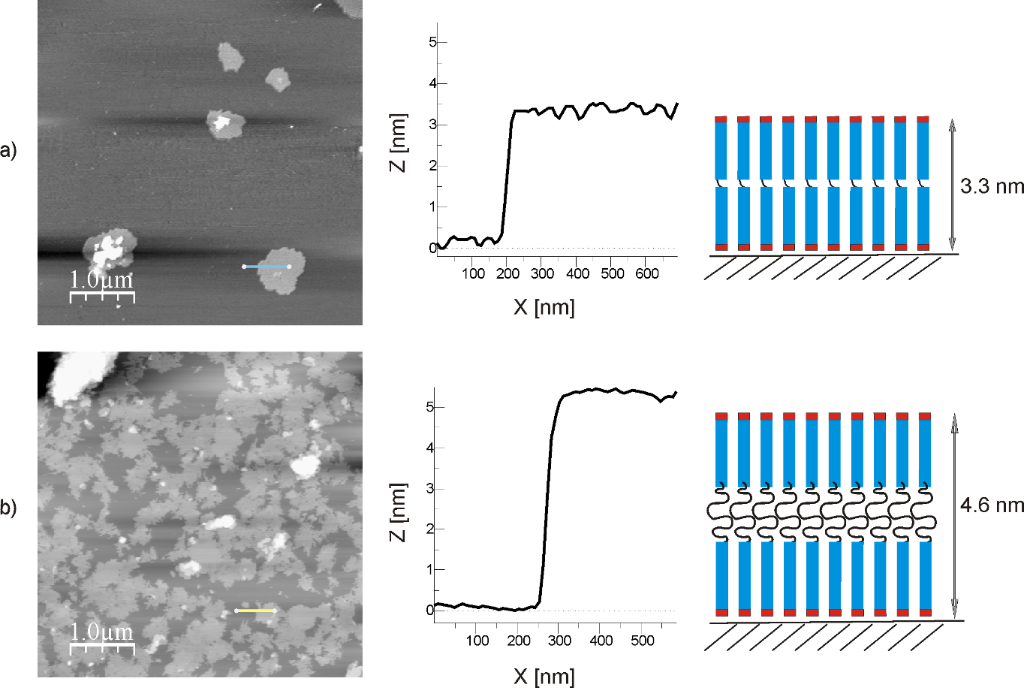 [1860-5397-10-140-7]