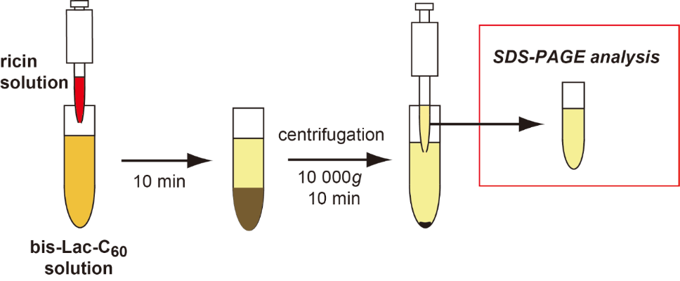[1860-5397-10-155-3]