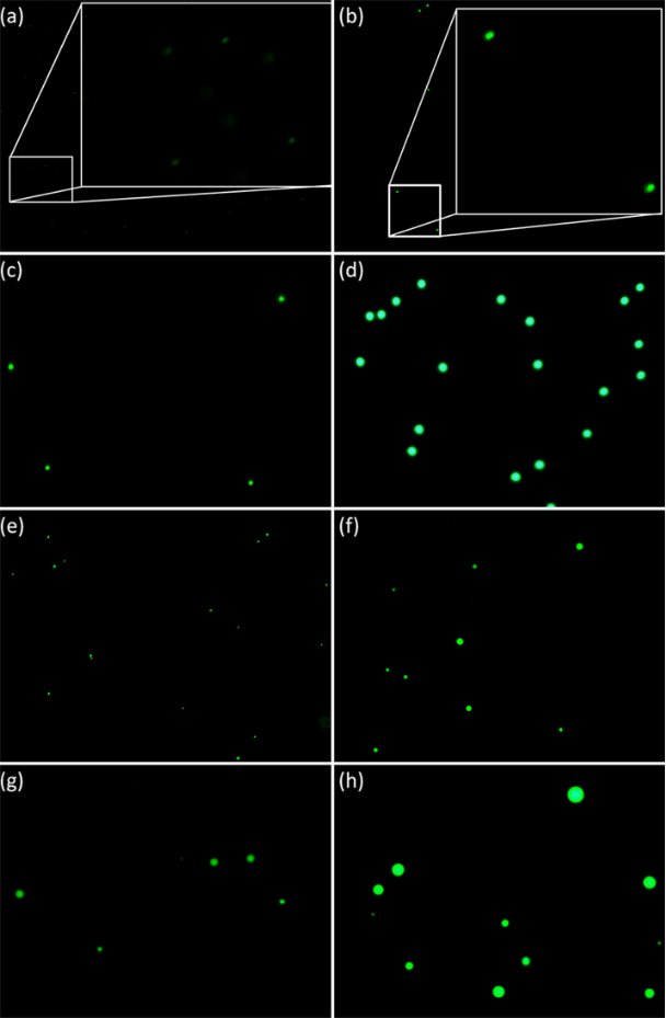 [1860-5397-10-162-3]