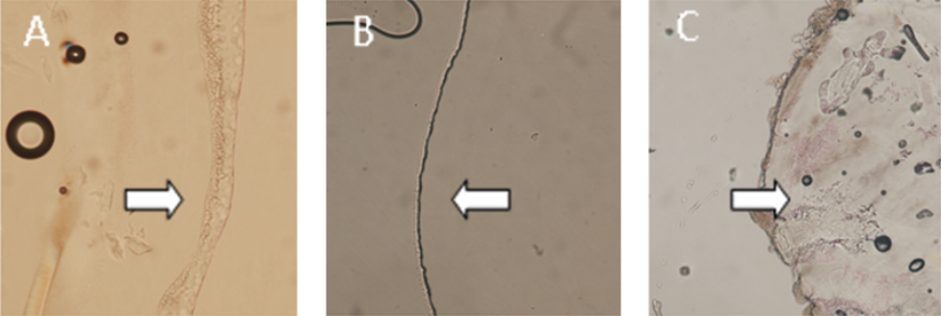 [1860-5397-10-163-6]