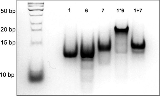 [1860-5397-10-164-7]