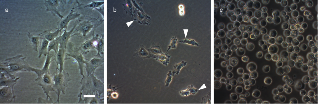 [1860-5397-10-190-3]