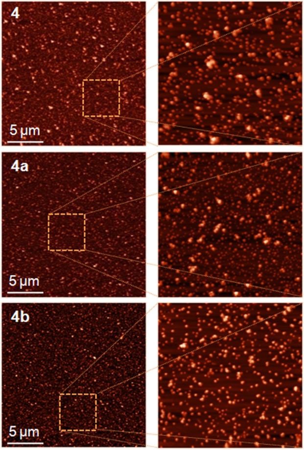 [1860-5397-10-222-10]