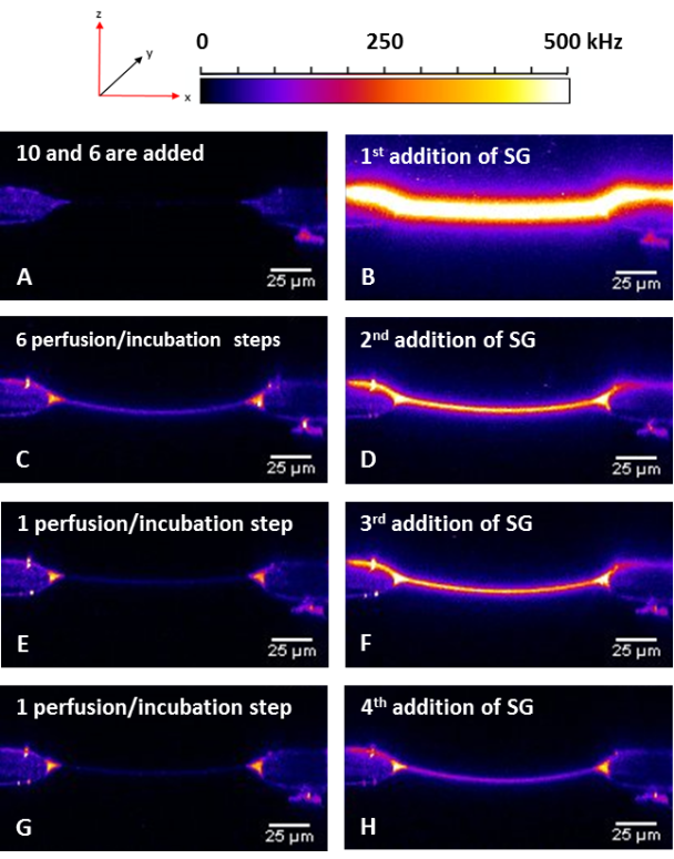 [1860-5397-10-240-12]
