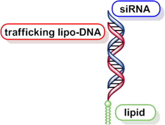 [1860-5397-10-240-17]