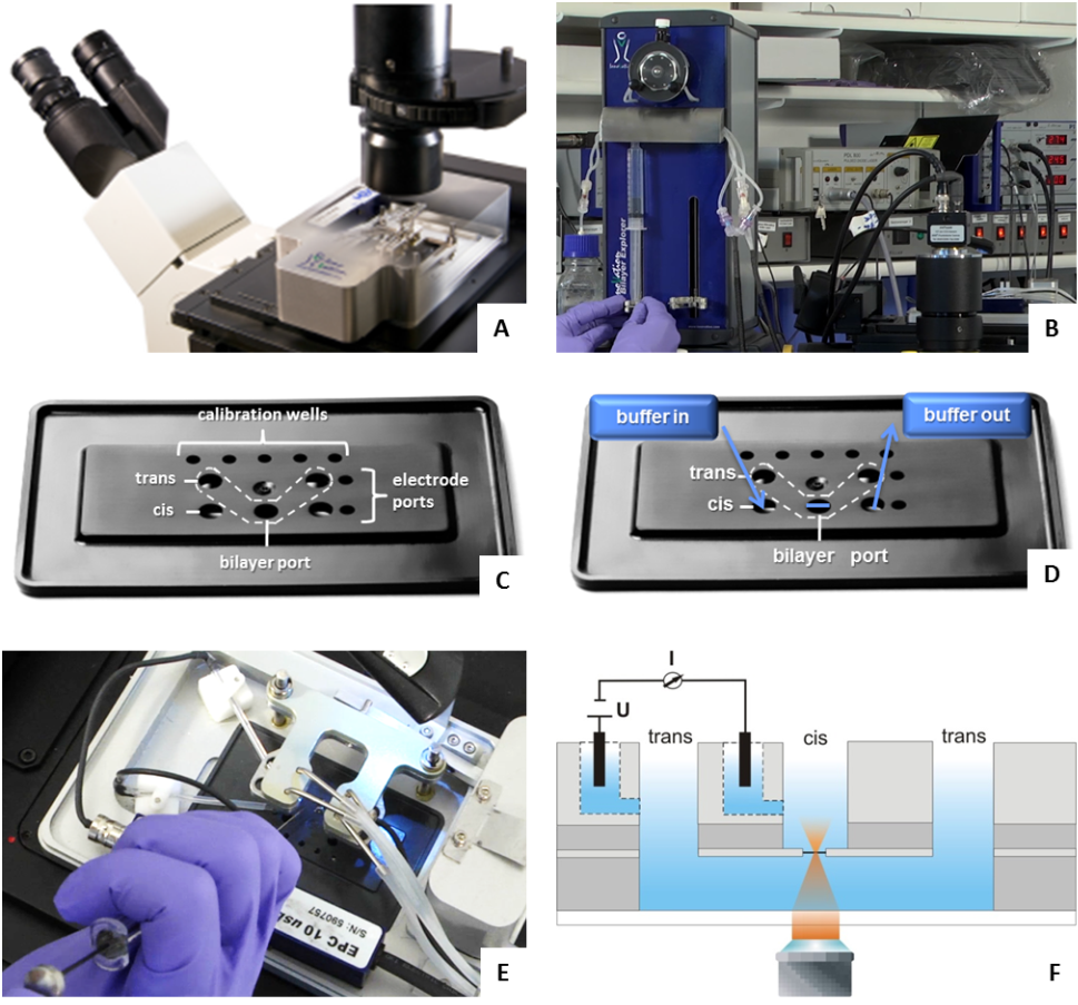 [1860-5397-10-240-18]