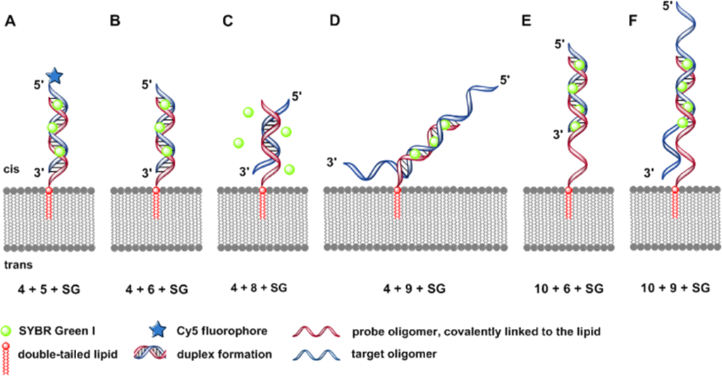 [1860-5397-10-240-2]