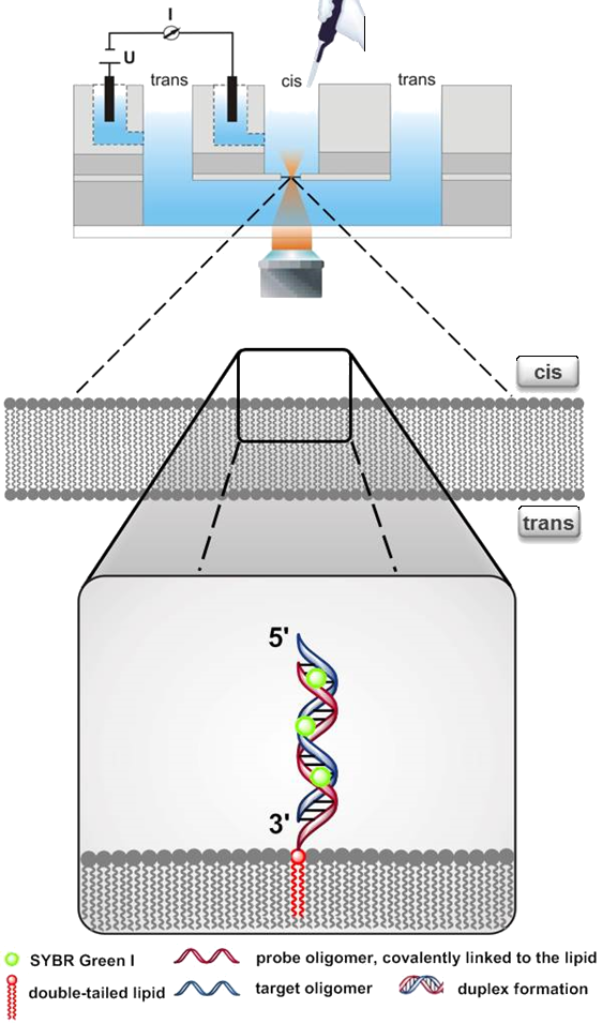 [1860-5397-10-240-3]