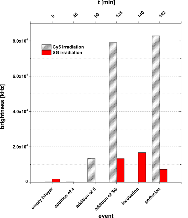[1860-5397-10-240-5]