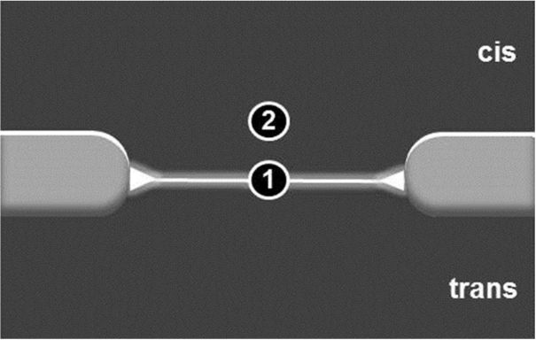 [1860-5397-10-240-6]