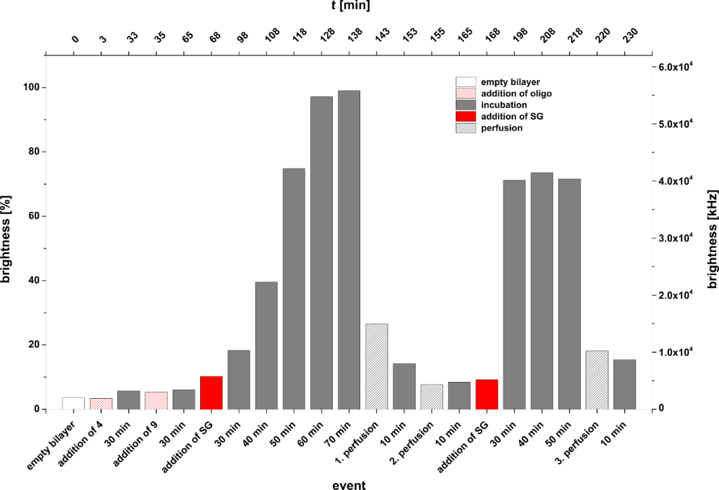 [1860-5397-10-240-8]