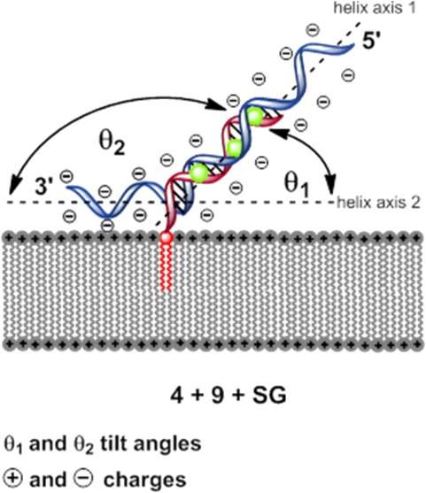 [1860-5397-10-240-9]