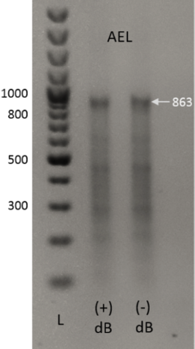 [1860-5397-10-245-5]