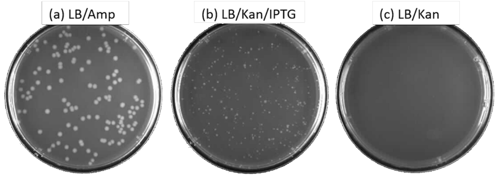 [1860-5397-10-245-6]