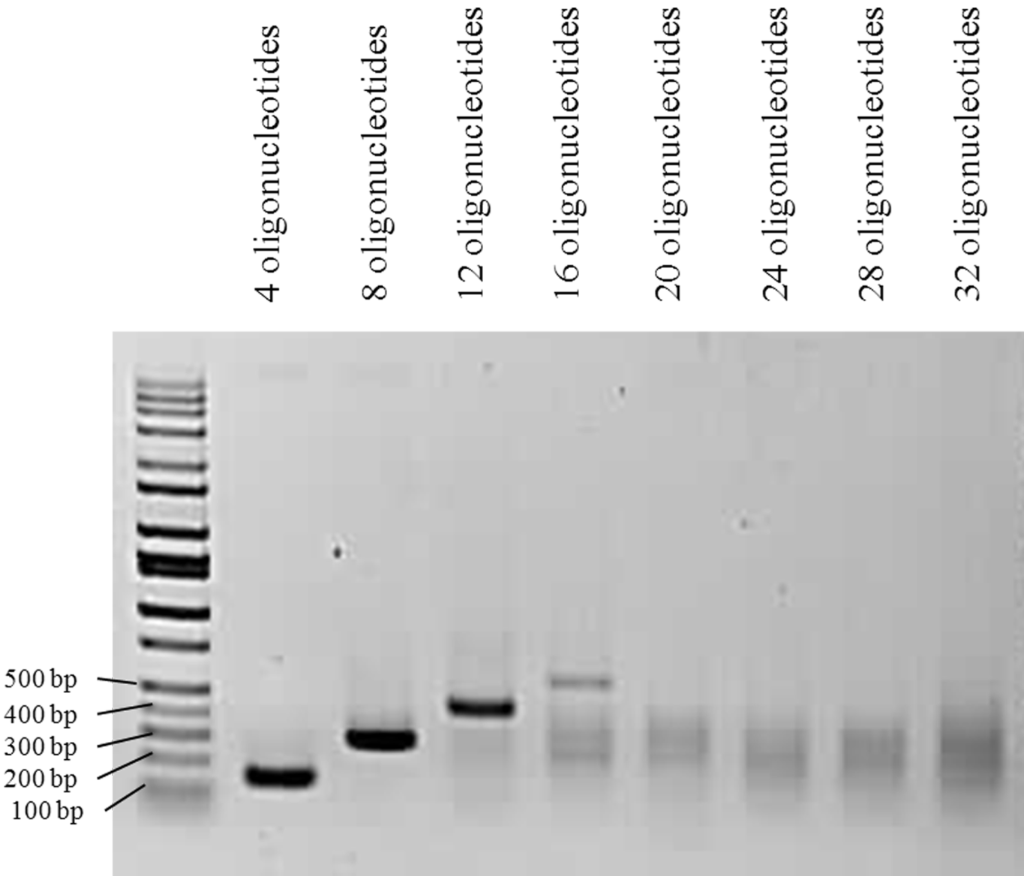 [1860-5397-10-245-8]