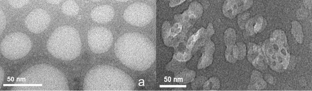 [1860-5397-10-286-4]