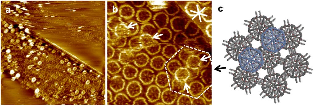 [1860-5397-10-295-4]