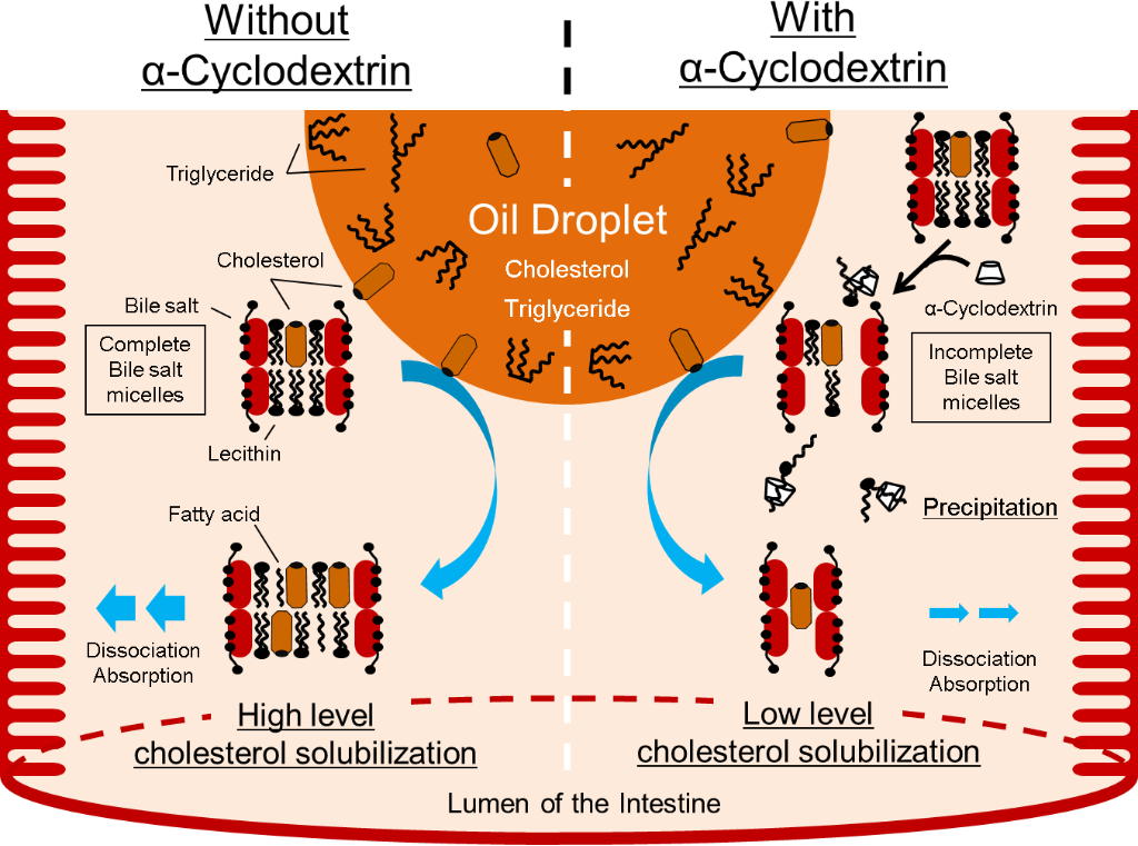 [1860-5397-10-300-8]