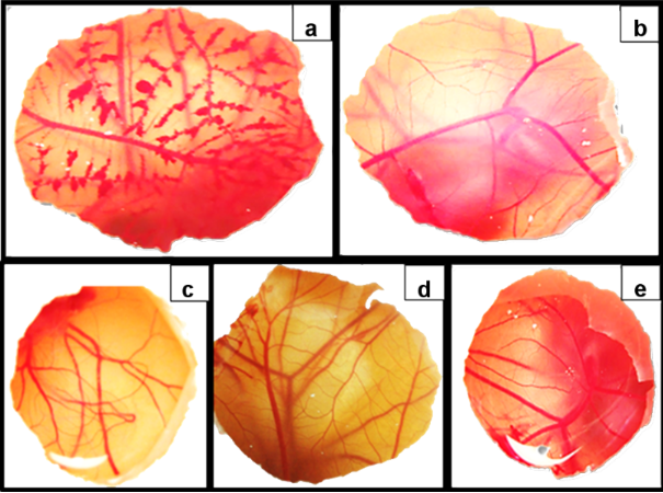 [1860-5397-10-308-5]