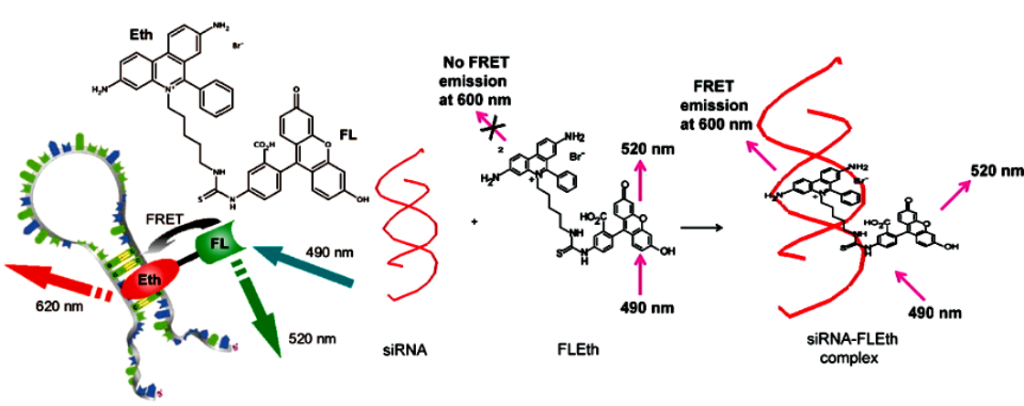 [1860-5397-10-312-8]