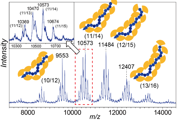 [1860-5397-10-326-4]