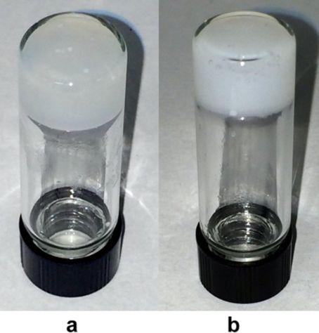 [1860-5397-10-328-2]