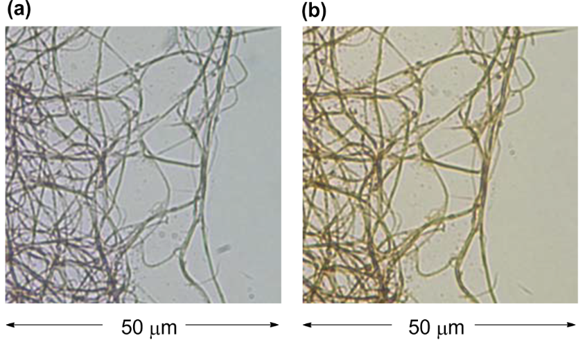 [1860-5397-11-175-12]