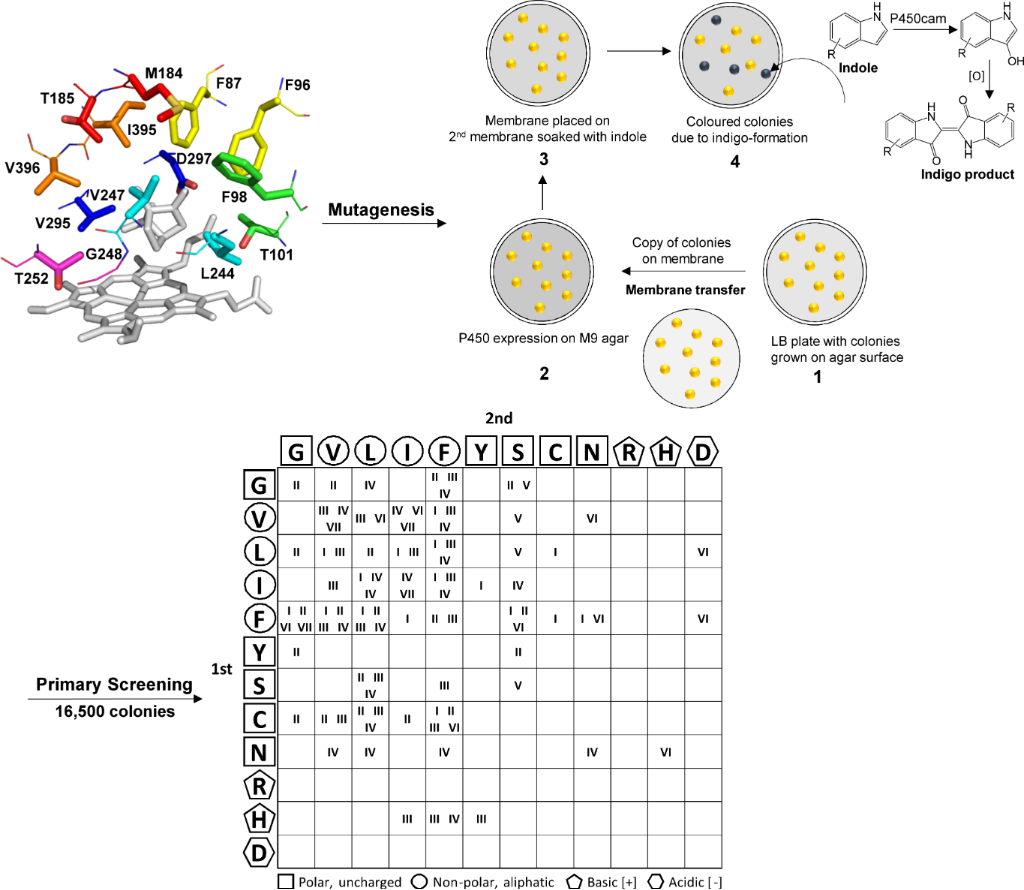 [1860-5397-11-186-1]