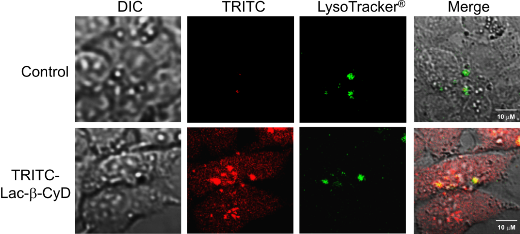 [1860-5397-11-224-5]