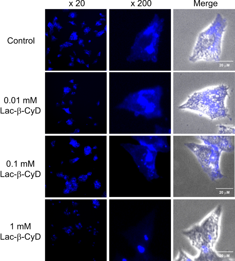 [1860-5397-11-224-6]