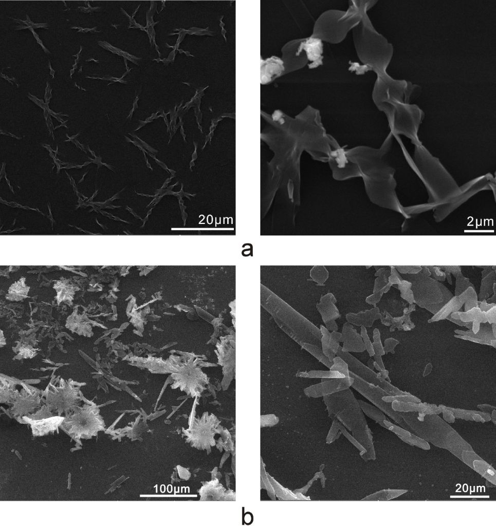 [1860-5397-11-255-2]