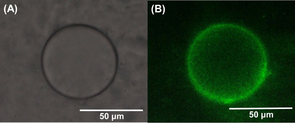 [1860-5397-11-257-6]