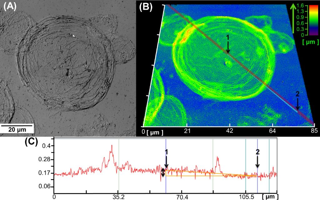 [1860-5397-11-257-7]