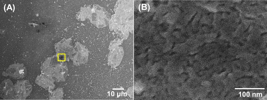 [1860-5397-11-257-8]