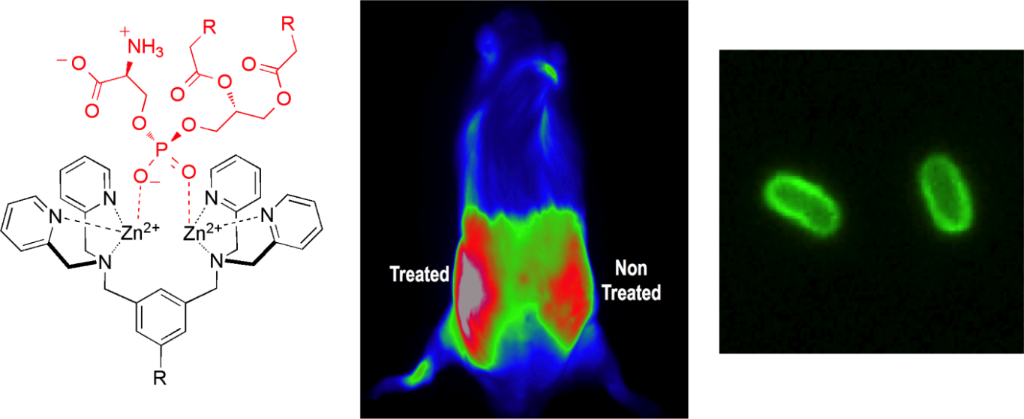 [1860-5397-11-274-2]