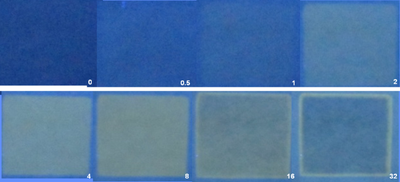 [1860-5397-11-298-6]