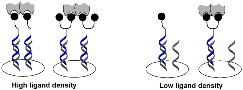 [1860-5397-11-81-10]