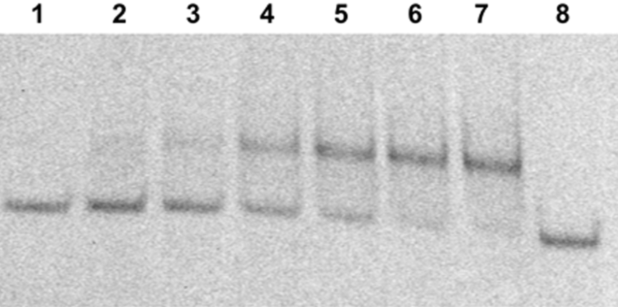 [1860-5397-12-128-16]