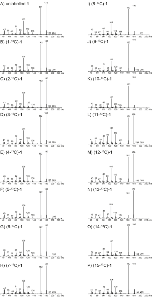 [1860-5397-12-132-1]