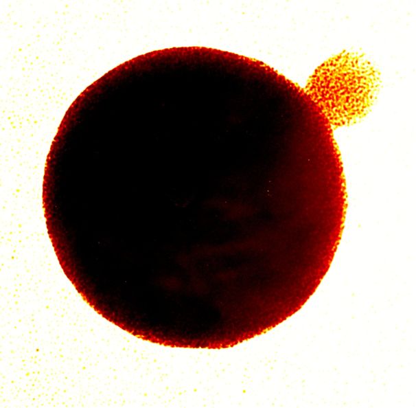 [1860-5397-12-161-3]