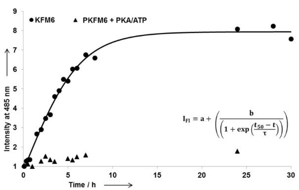 [1860-5397-12-240-2]