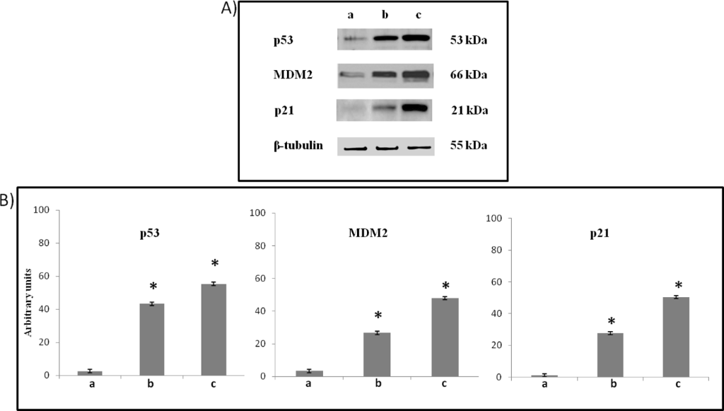 [1860-5397-12-278-10]