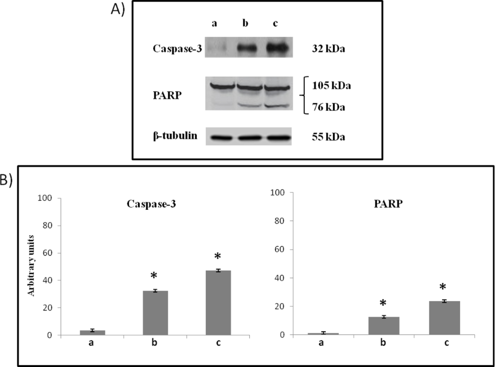 [1860-5397-12-278-11]