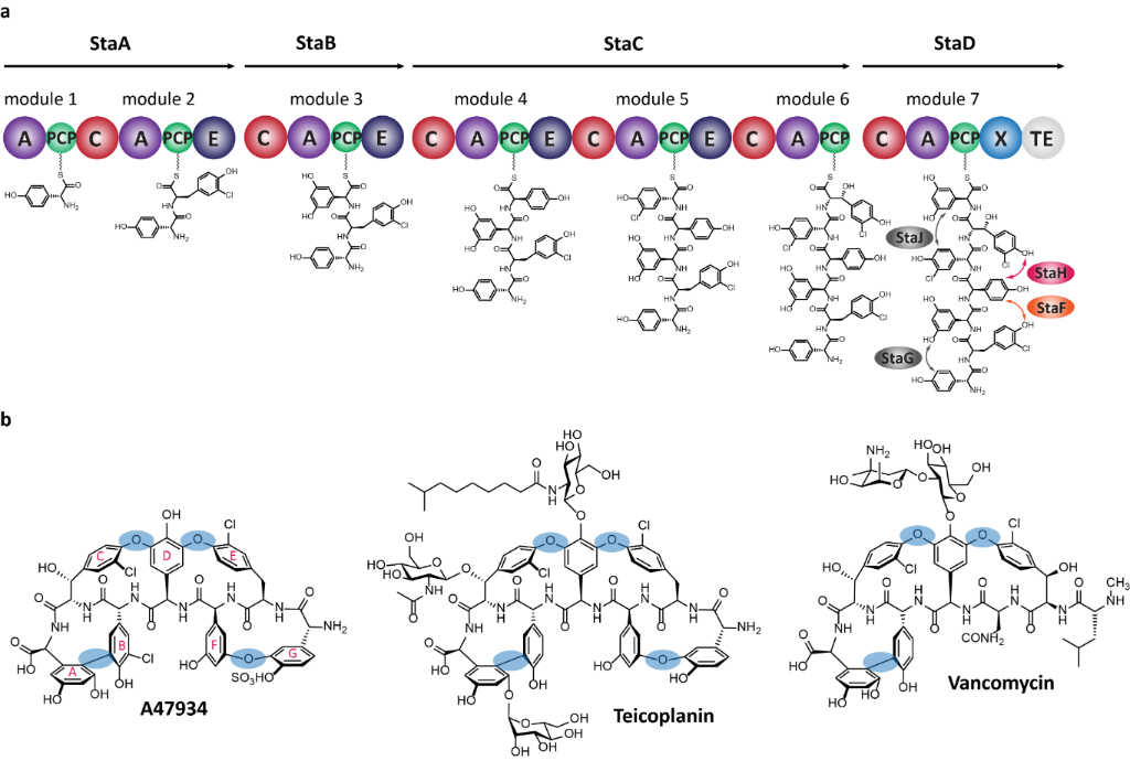 [1860-5397-12-284-1]