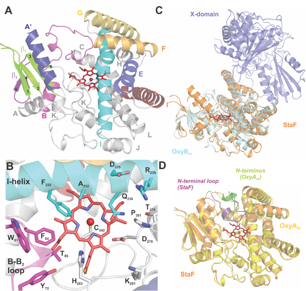 [1860-5397-12-284-5]