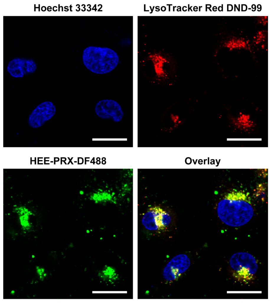 [1860-5397-12-287-5]