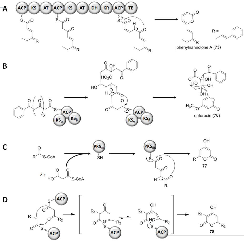 [1860-5397-12-56-20]