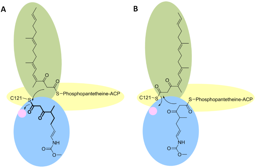 [1860-5397-12-56-22]